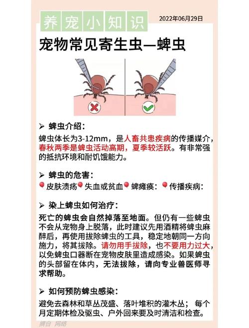 蜱虫是什么样的？蜱虫和臭虫区别在哪？除蜱虫方法有哪些？