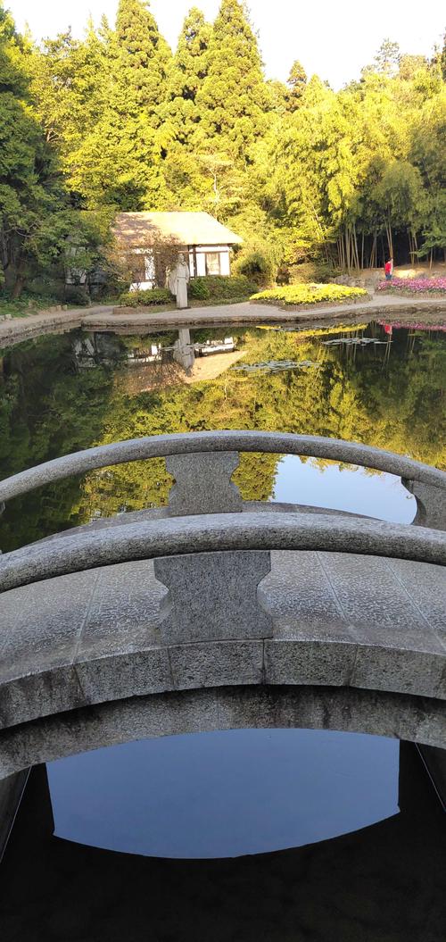 Lanza平台官网，与时俱进的解读与执行