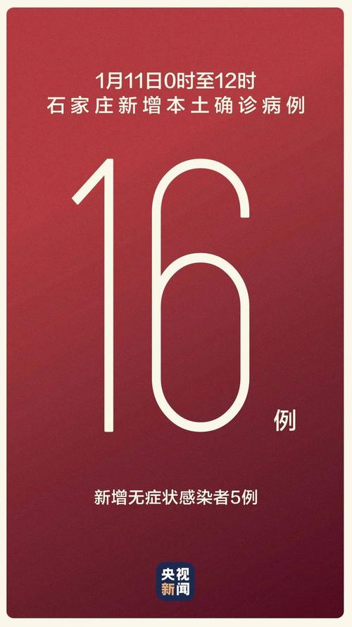 石家庄新增本土确诊病例数，16例与36例情况汇总